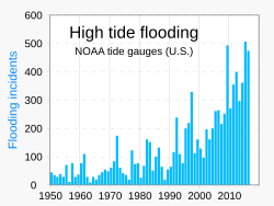 High tide flooding, also called tidal flooding, is one of the causes for coastal flooding. It has become much more common in the past seven decades.[12]