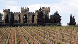 A vineyard in Châteauneuf-du-Pape, in southern Rhône.