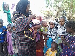 Polio vaccination in Adamawa State, northeastern Nigeria, 2014