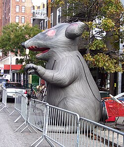 To bring public attention, a giant inflatable rat (named 'Scabby') is used in the US at the site of a labor dispute. The rat represents strike-breaking replacement workers, otherwise known as 'scabs'.