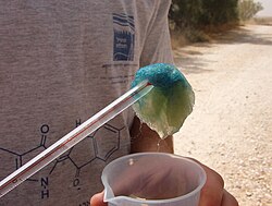 A guide from the Ptil Tekhelet Foundation shows how a piece of wool, dipped into the solution for the Hexaplex trunculus-based dye, turns into leek-like green in sunlight, and eventually into (dark) blue with a purple hue.