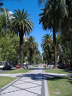 Oroño Boulevard in downtown Rosario, named after Nicasio Oroño.