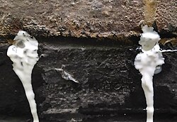 Damp-proofing cream leaking from injection holes. This can make it difficult to ascertain whether sufficient cream has remained in the holes for treatment to be successful.