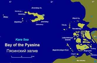 The Zveroboy Island group in the gulf of the Pyasina.