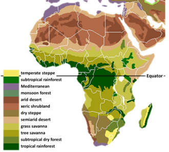 The main biomes in Africa