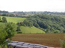 West Yatton Down in June 2007