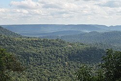 The Alto Paraná Atlantic forests