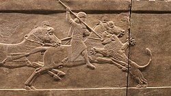 Relief of King Ashurbanipal of Assyria hunting a Mesopotamian lion, from the Northern Palace in Nineveh, c. 645-635 BC