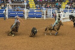 Rodeo (the state sport) in Austin
