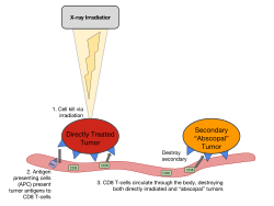 Proposed mechanism of the abscopal effect, mediated by the immune system. Here, local radiation causes tumor cell death, which is followed by adaptive immune system recognition, not unlike a vaccine.