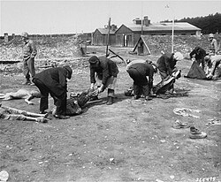 German civilians forced to bury Kaufering IV victims