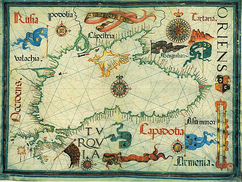 A 16th-century map of the Black Sea by Diogo Homem