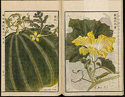 Illustration from the Japanese agricultural encyclopedia Seikei Zusetsu (1804)