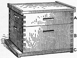 Langstroth hive