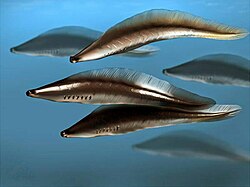 3D restoration
