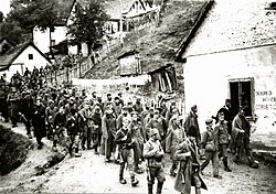 Partisans and Chetniks escorting captured Germans through Užice, autumn 1941