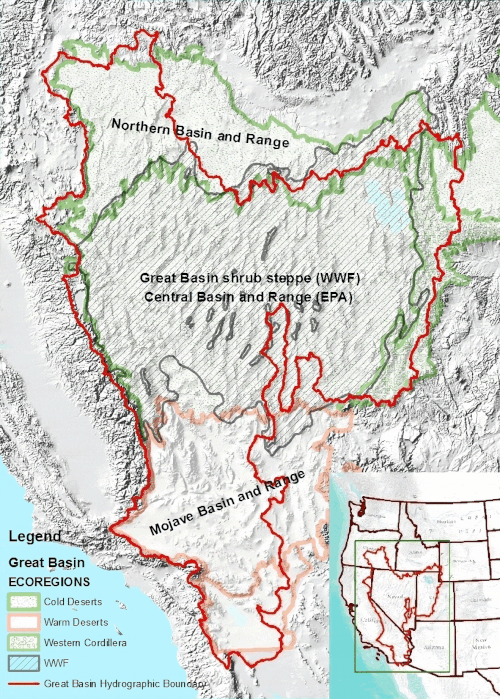 Ecoregions as currently delineated by the Environmental Protection Agency[13] and World Wildlife Fund[14]