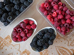 Serbia is one of the largest providers of frozen fruit to the EU and a large producer of fruits like raspberries, blackberries, apples and plums[294][295]