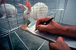 The use of animals in laboratories remains controversial. Animal welfare advocates push for enforced standards to ensure the health and safety of those animals used for tests.