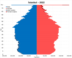 Istanbul population pyramid in 2022