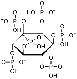 Structure of the metal chelator phytic acid