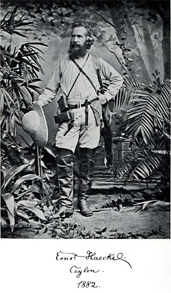 Haeckel in Ceylon, 1882