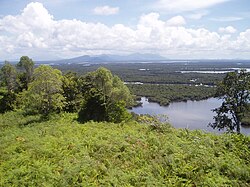 Wetland habitat types in Borneo