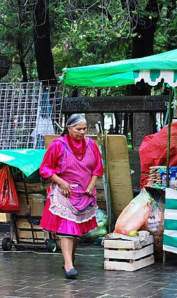 Mazahua woman in Mexico City. The Mazahuas originate in the State of Mexico and are a prevalent cliché about the indigenous peoples in Mexico City[56] due to their high migration elsewhere[57]