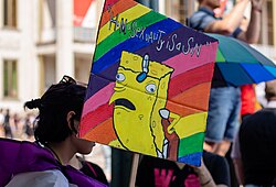 Alternating caps are used on this Mocking SpongeBob meme to mock anti-queer opinions.