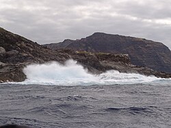 Bird-man Island coast