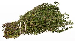 A bundle of thyme (Thymus)