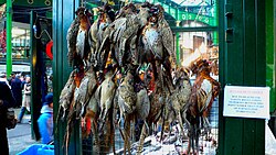 Game birds at Borough Market in London