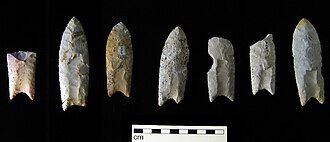 Clovis points from the Rummells-Maske Cache Site, Iowa