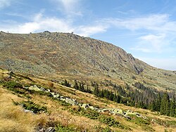 Alpine tree line of mountain pine and European spruce below the subalpine zone of Bistrishko Branishte, with the surmounting Golyam Rezen Peak, Vitosha Mountain, Sofia, Bulgaria