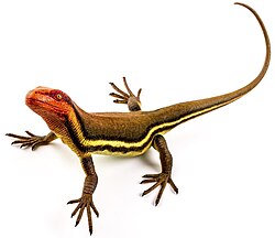 Hylonomus, the oldest known sauropsid in the fossil record