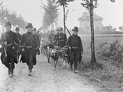 Carabiniers of the Belgian Army walking with dog-drawn machine gun carts in the Battle of the Frontiers during World War I, 20 August 1914
