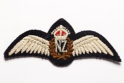 RNZAF Flying Badge