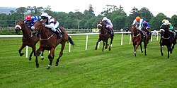 Horse racing in Sligo