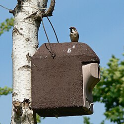 Nest box made of wood and concrete