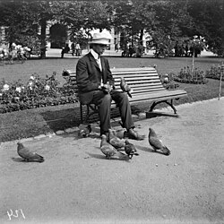 A man feeding pigeons at Esplanadi in Helsinki, Finland, in 1921