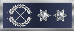 Rank insignia of an intendant of the Portuguese Public Security Police.