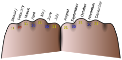 The knuckle mnemonic for the days of the months of the year