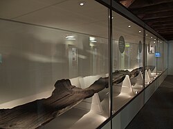 The Poole Logboat, a 2,000-year-old dugout canoe discovered during dredging works in Poole Harbour and now in the Poole Museum