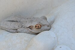 In Florida