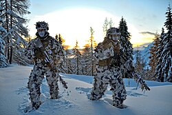 Italian 8th Alpini Regiment snipers in winter ghillie suits in 2019
