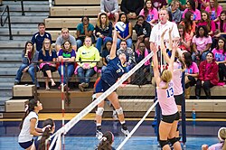 The Savage Storm volleyball team in action against the Texas A&M–Commerce Lions in 2014