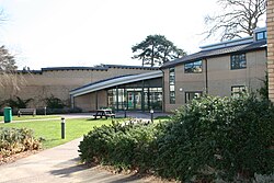 Willow building