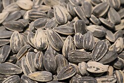 Whole sunflower seeds