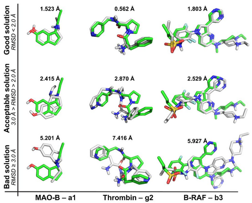 Docking accuracy is measured by the capability of reproducing the experimental structure via the root-mean-square deviation (RMSD) of the non-hydrogen atoms.[32]