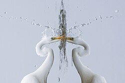 Great egret fishing during a foggy day at Champ-Pittet, Switzerland